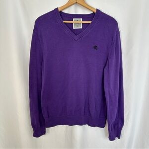 Express Sweater Mens Size Large V-Neck‎ Logo Long Sleeve Pullover Purple Casual